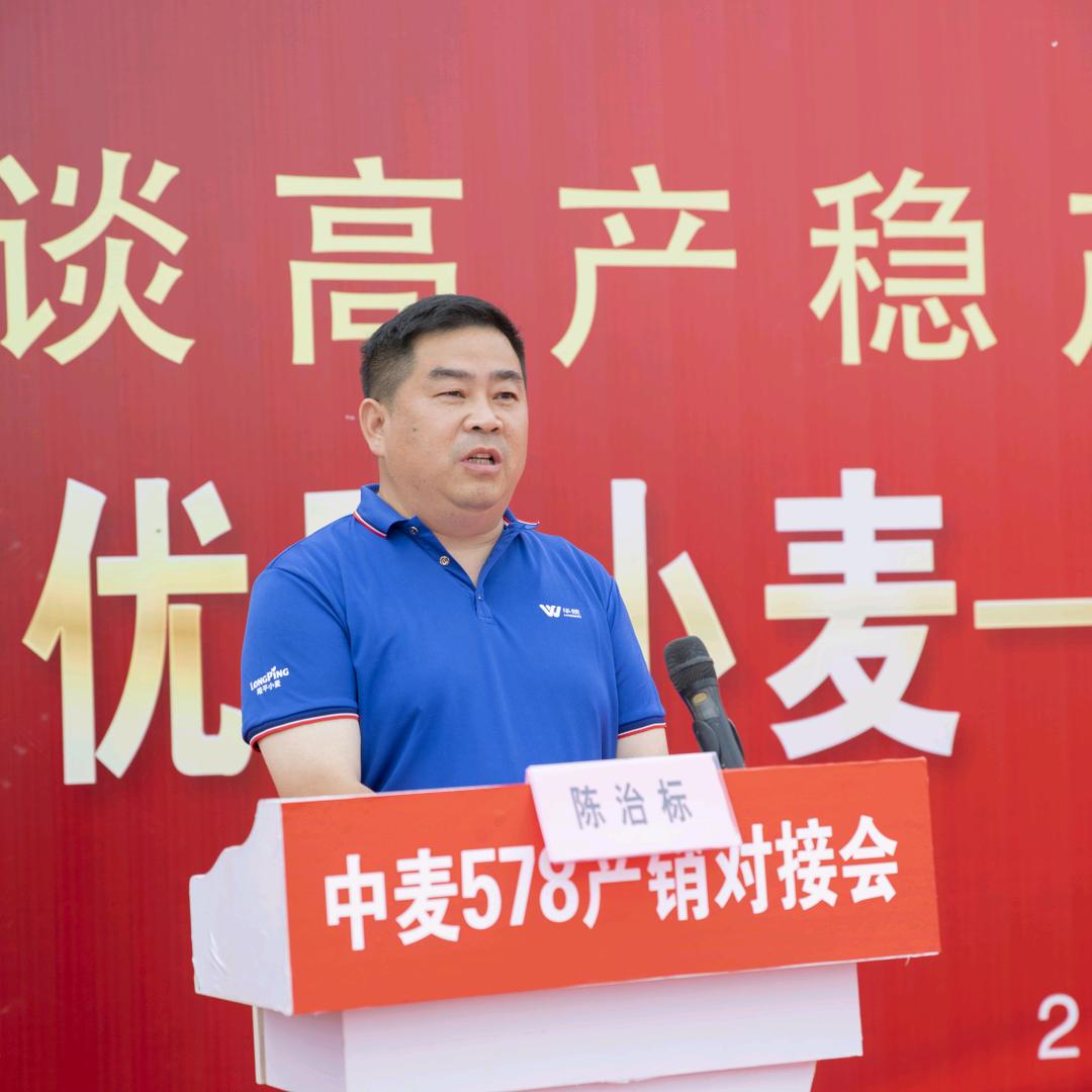 中原小麦人