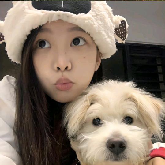 一小只🐳