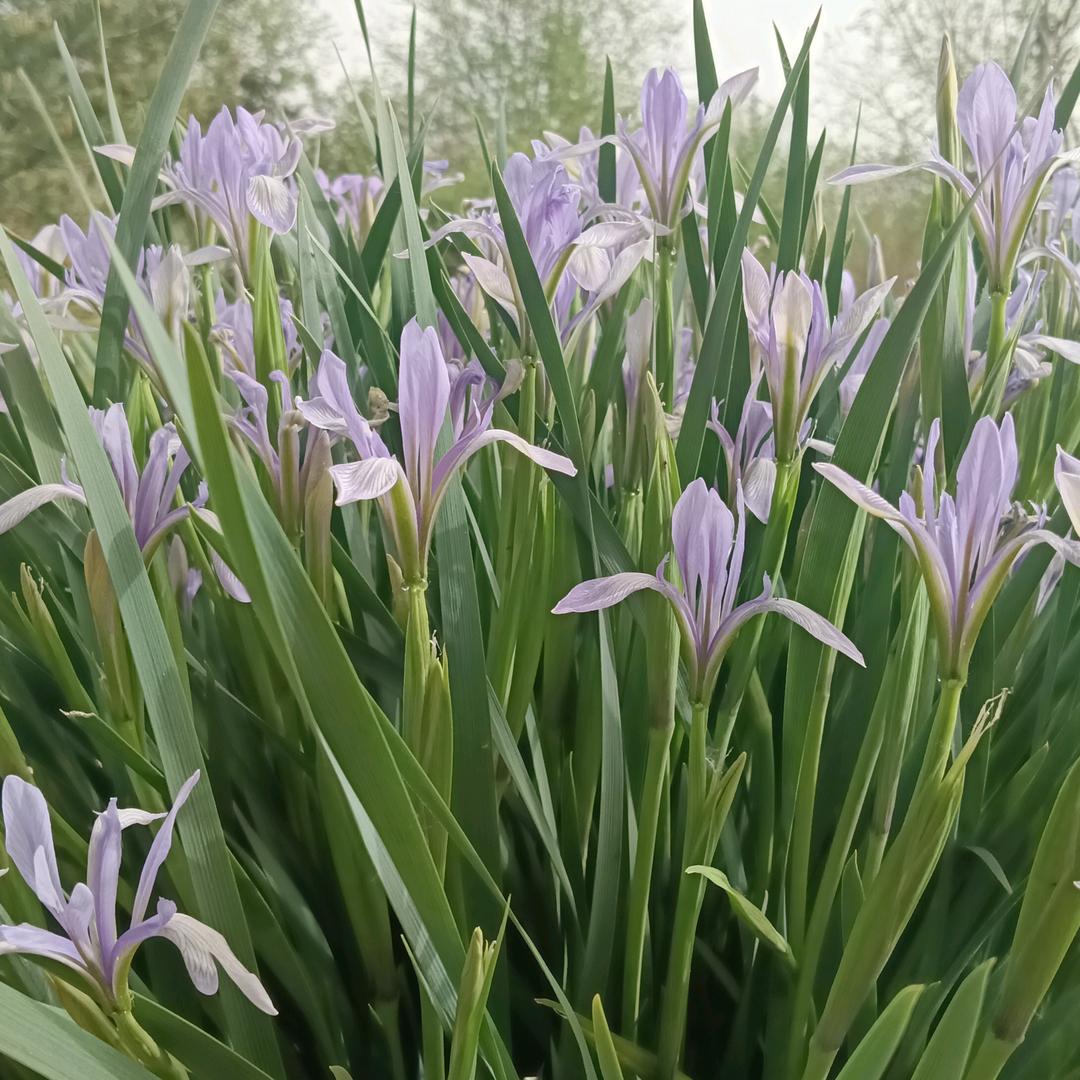 ꧁꫞꯭往事归零💞 ꧔ꦿ꧂