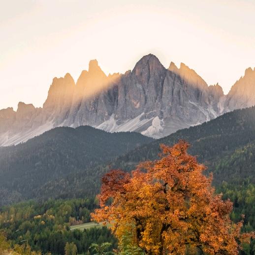 为爱停留！！！！！