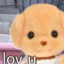 小宁家微胖大码