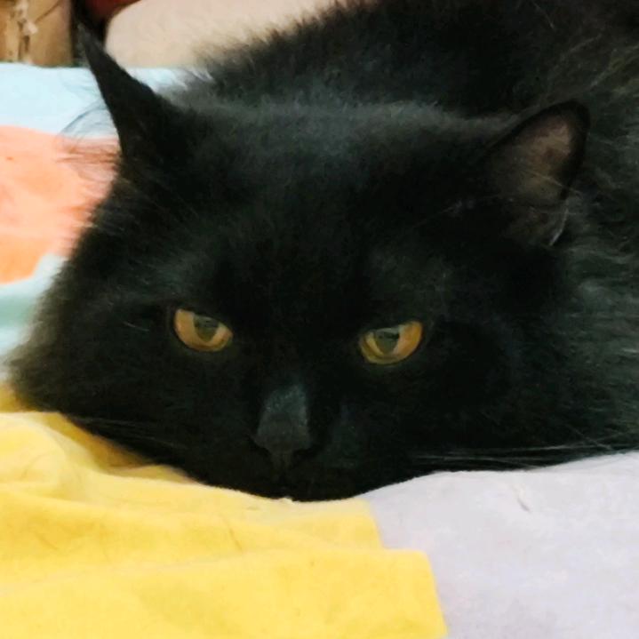 没有网名