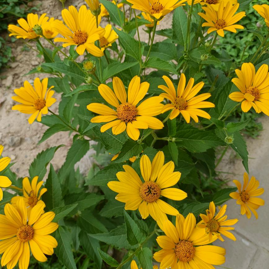 相亲相爱一家人