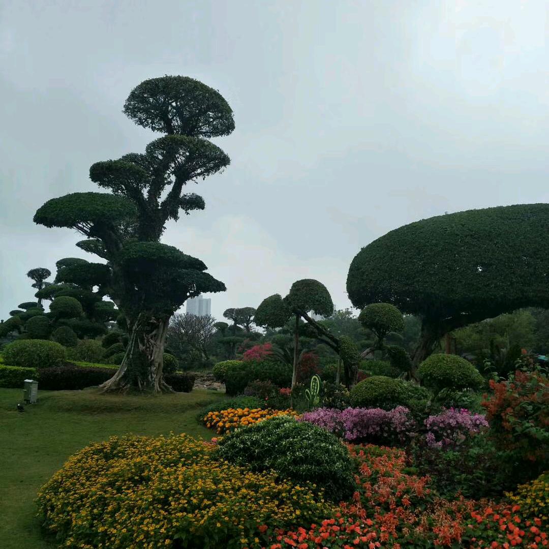 九台木工刘波