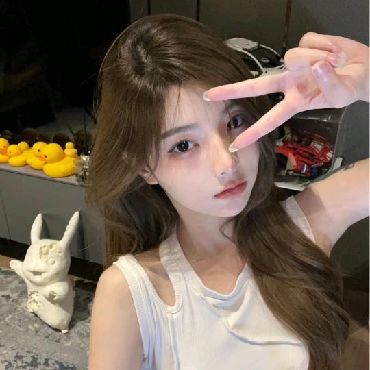 一只小小苏