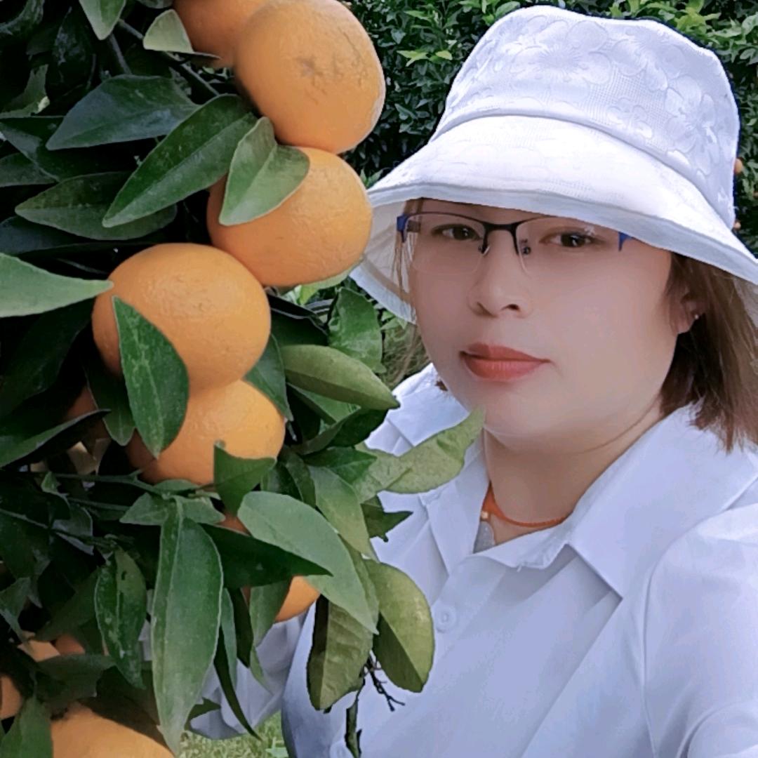 午夜玫瑰