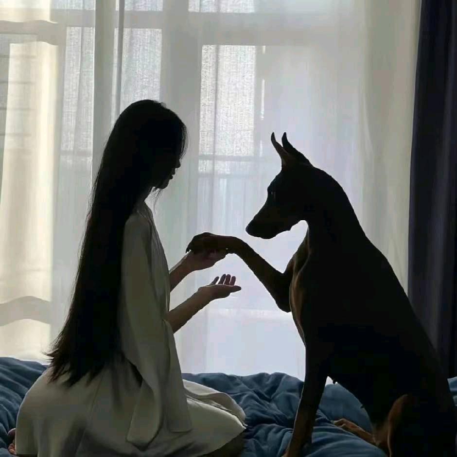 梦糖