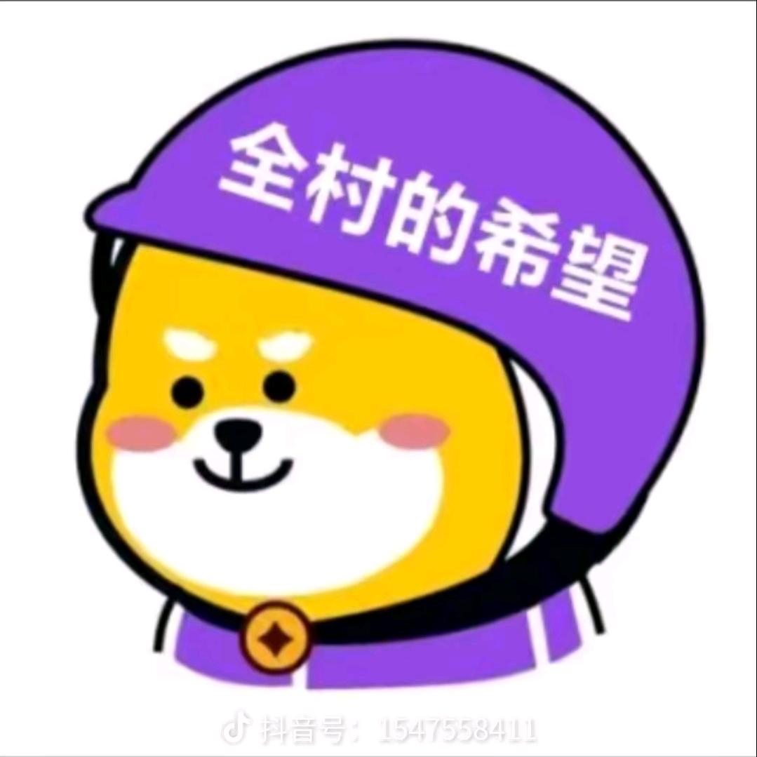 西安宽带～松鼠