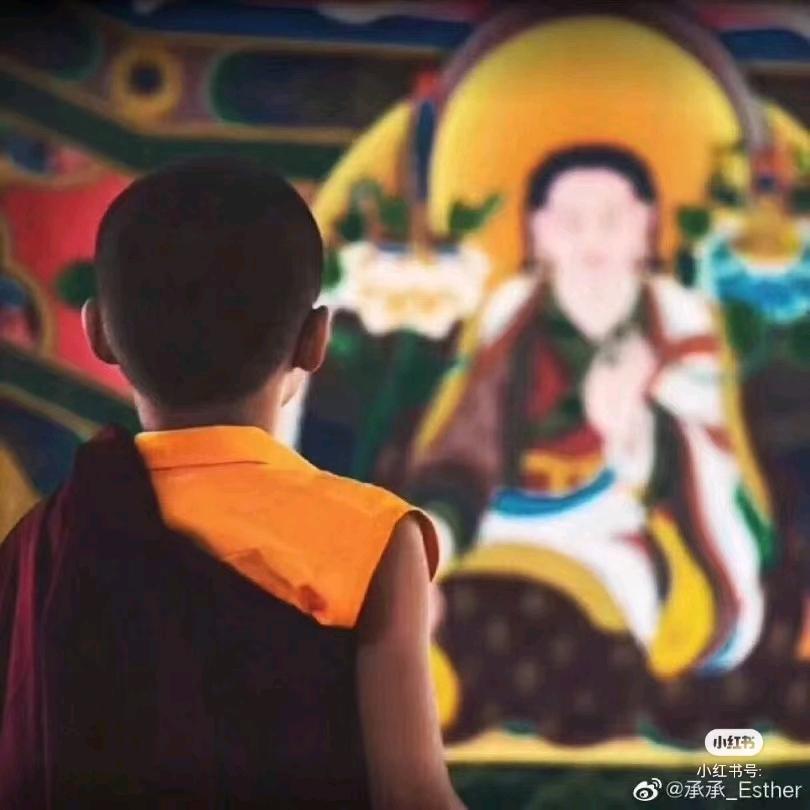 བོད་ཀྱི་ཁྱུག་ཞིག།💼