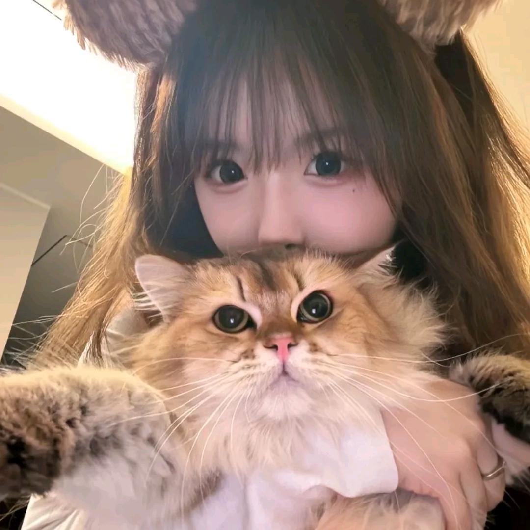 炸鸡柳
