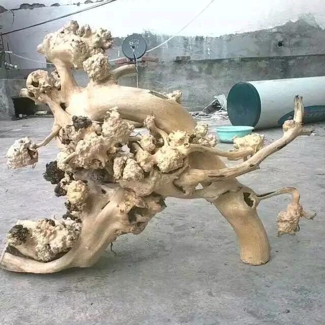 茂县田师车行田世强