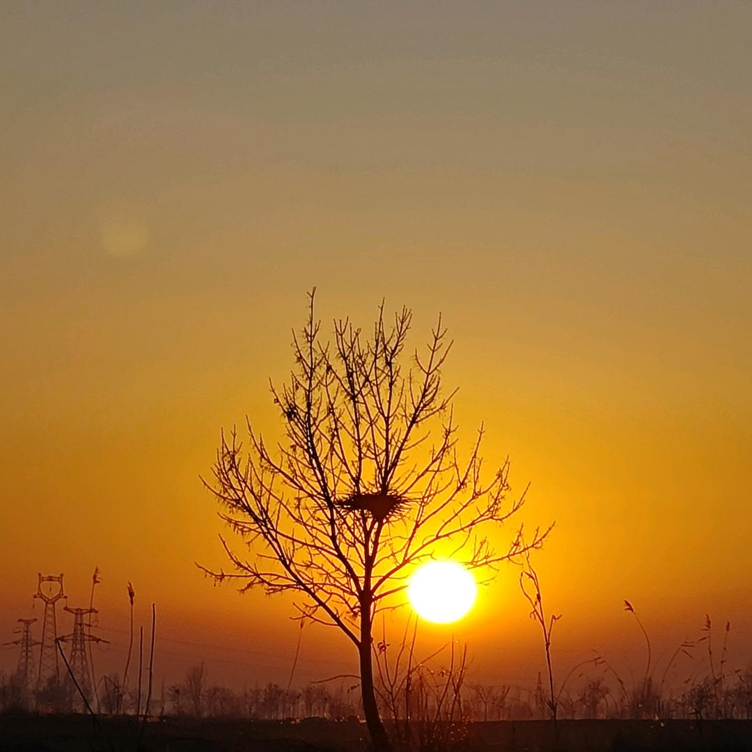 琅琊少年诸葛恪