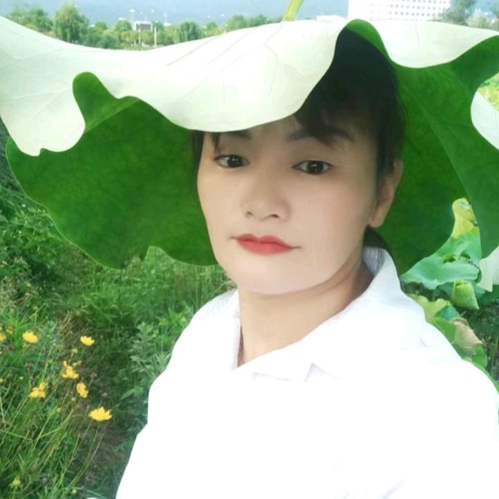 小萍姐