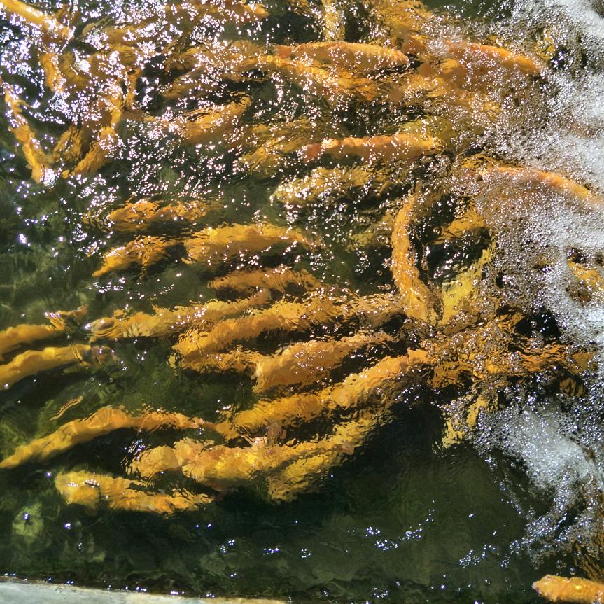 恨自己像个傻子