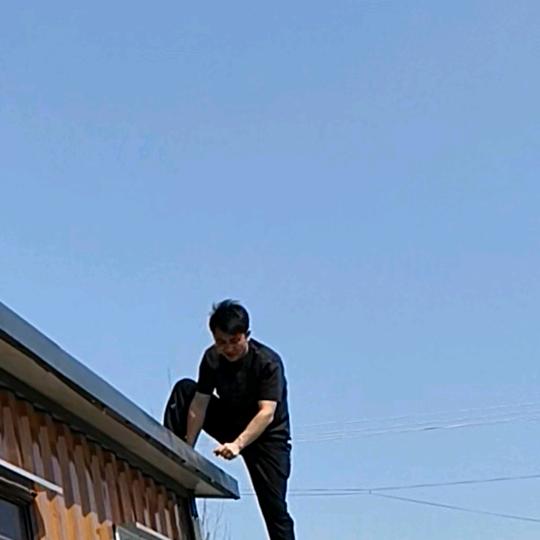 飞飞