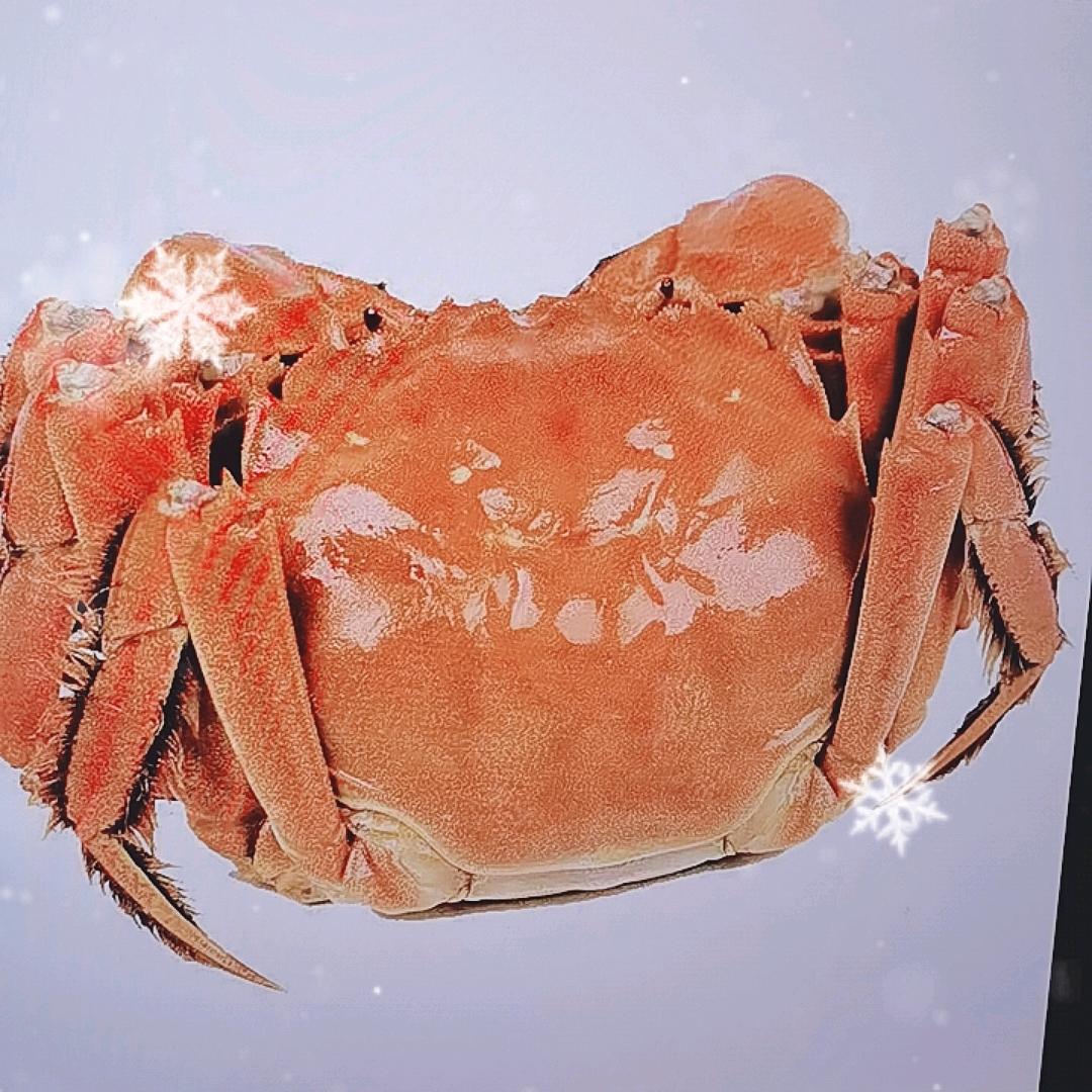 真鲜大闸蟹优选