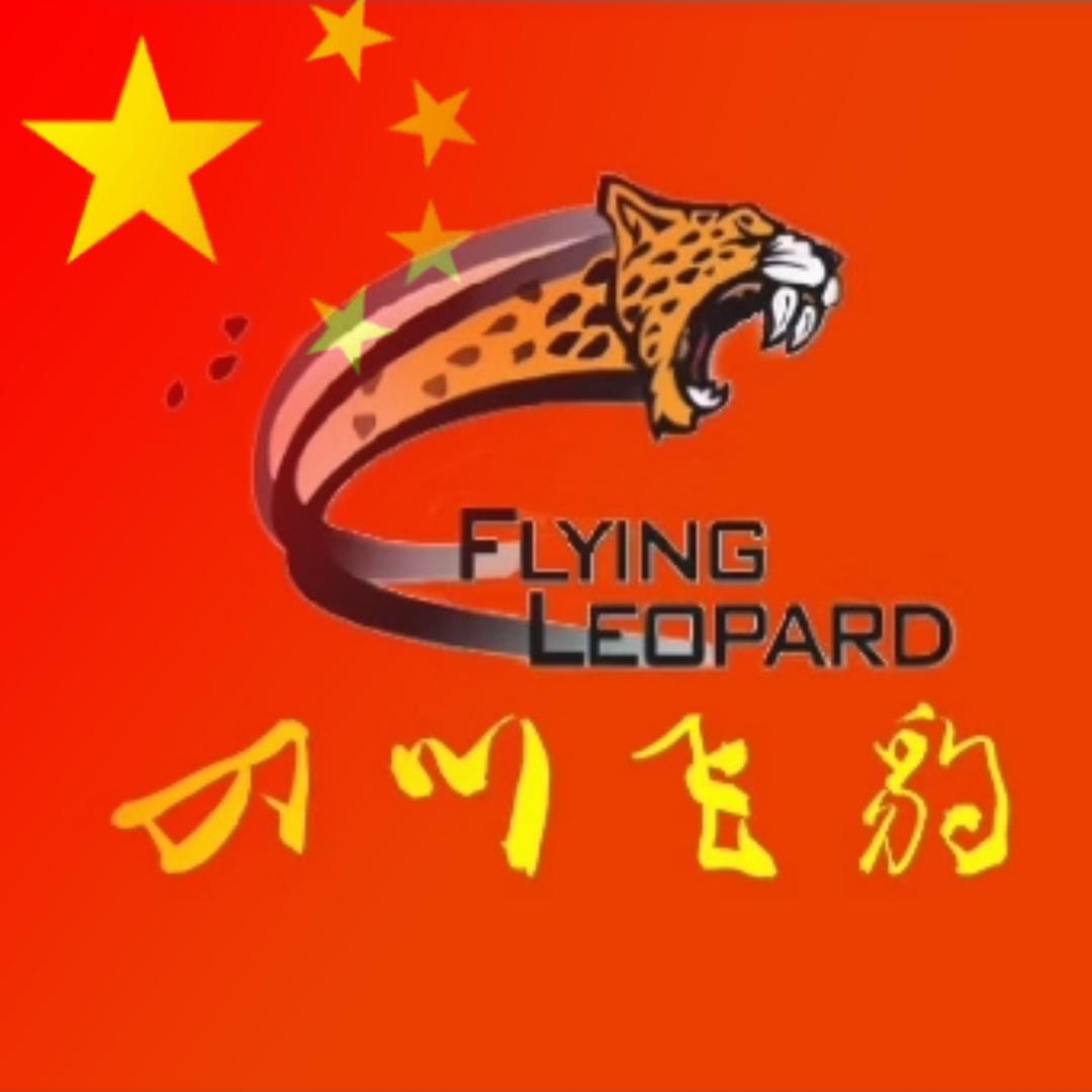 飞豹速滑工作室