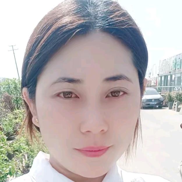 花香盆景园艺老鸦柿