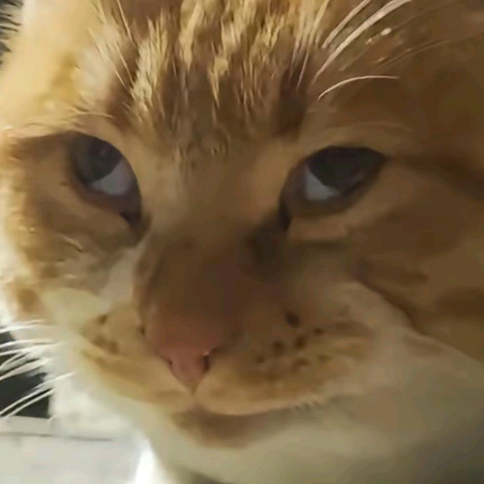 𝖞𝖔𝖚𝖓𝖌𝖇𝖔𝖞