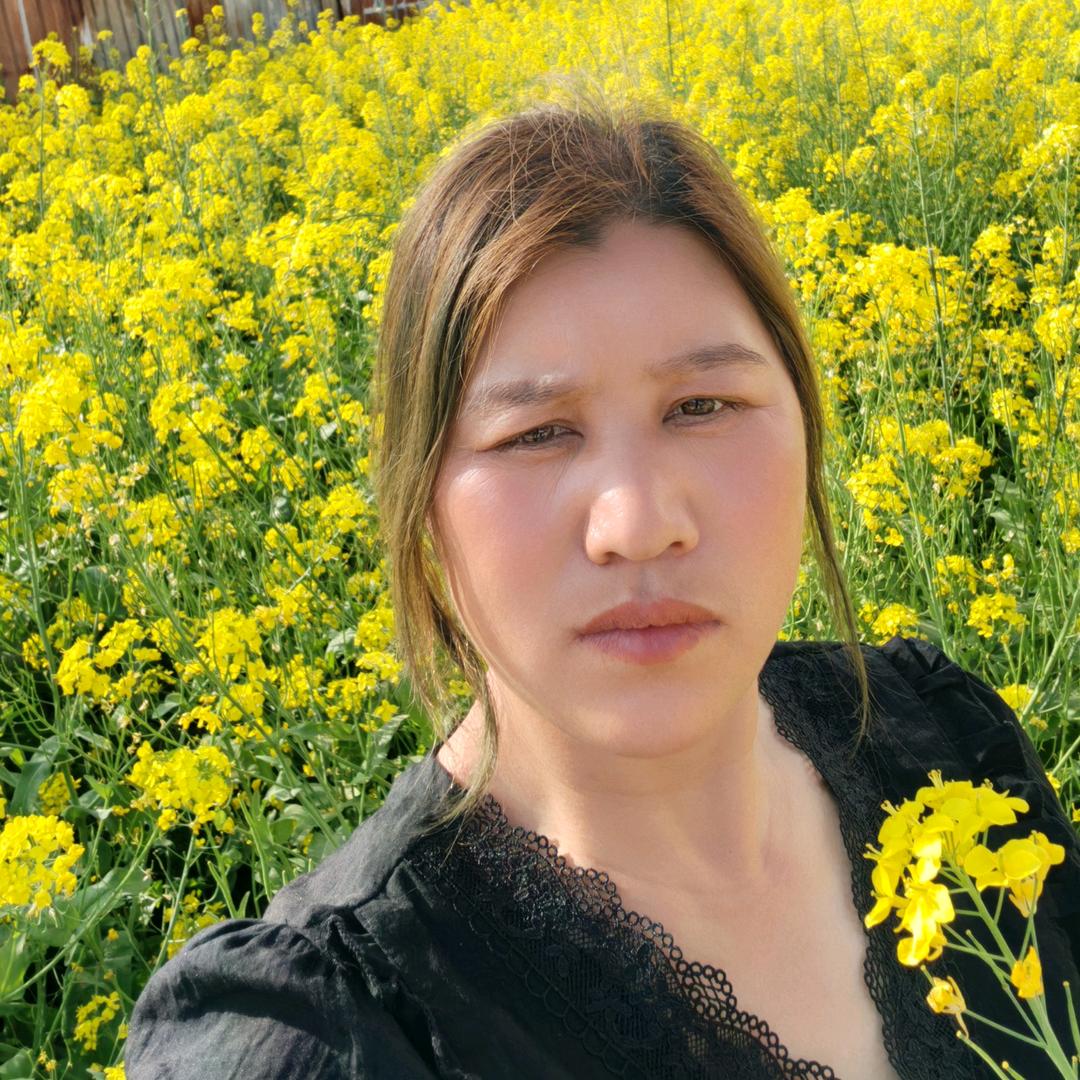 我是刘家二姐