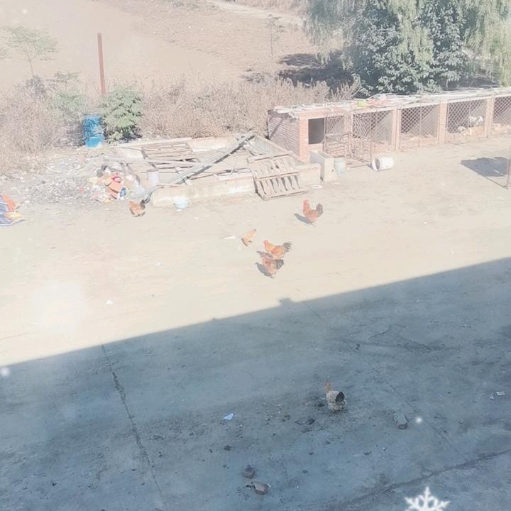 但行好事 莫问前程