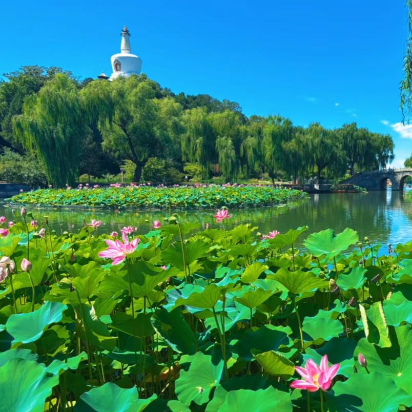 朱事顺利(云云)