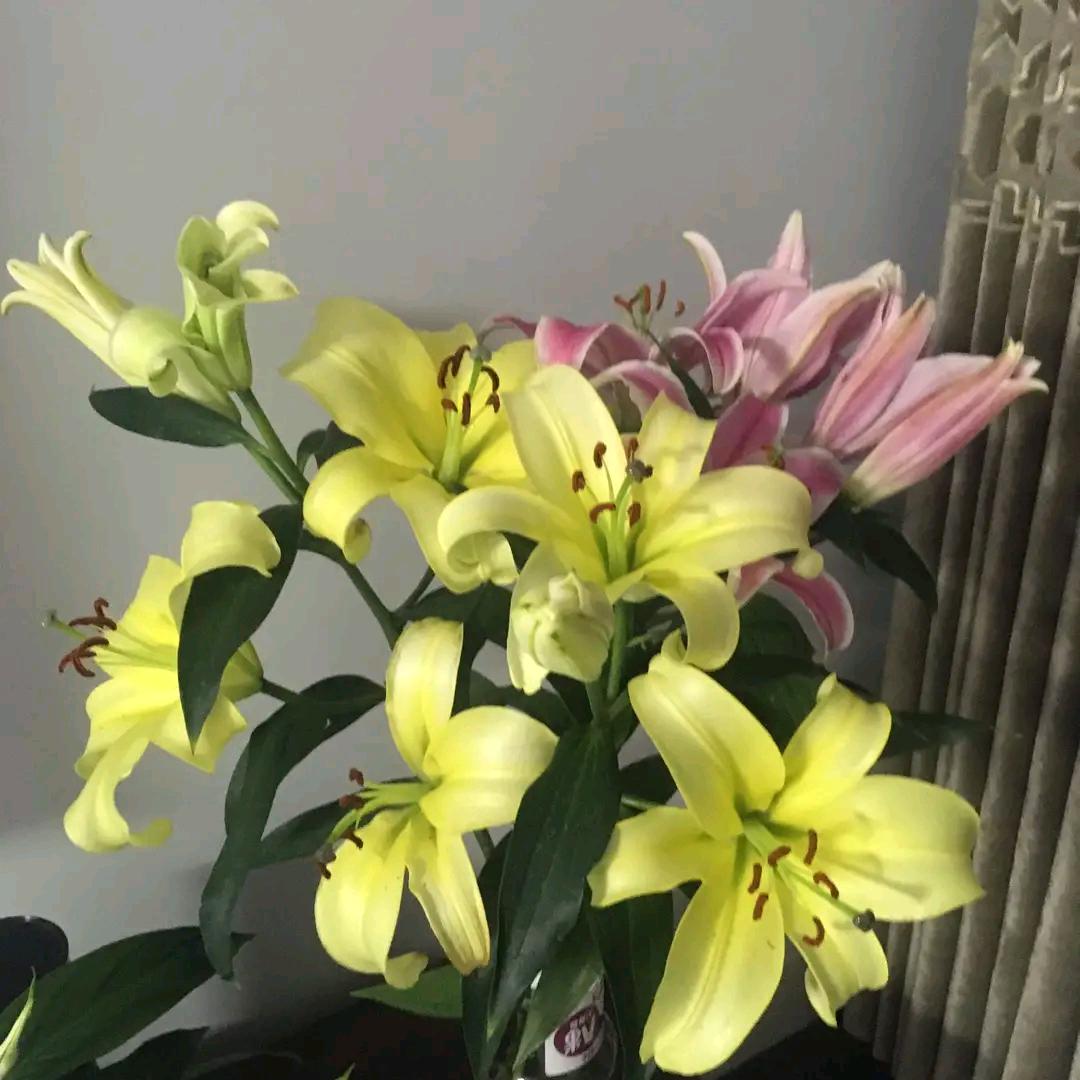 快乐每一天