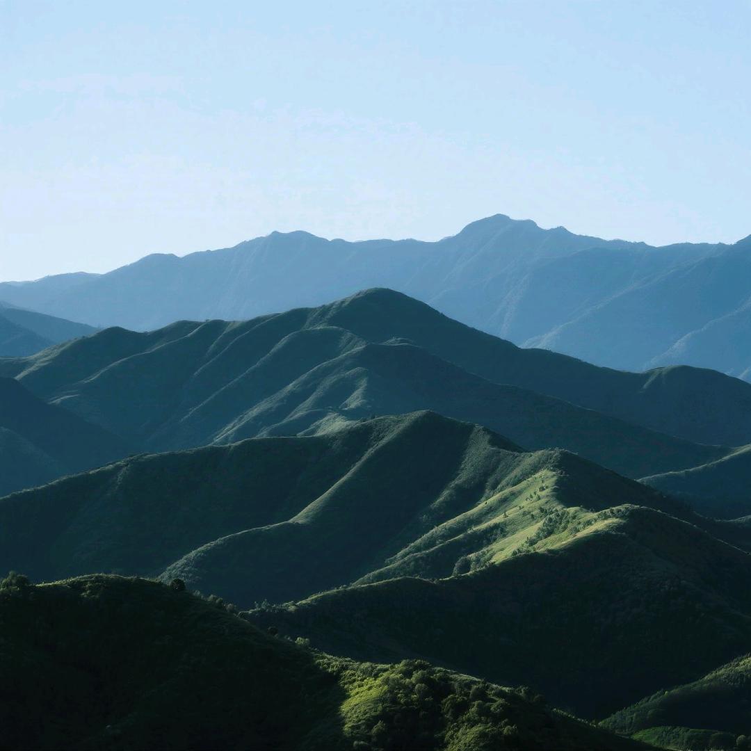 青山不老