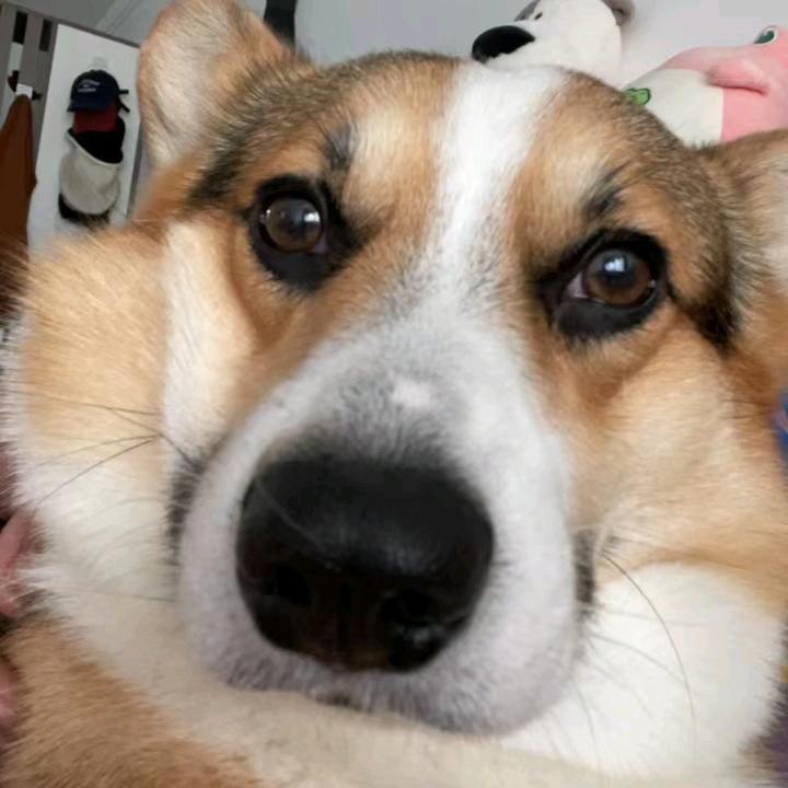 方圆