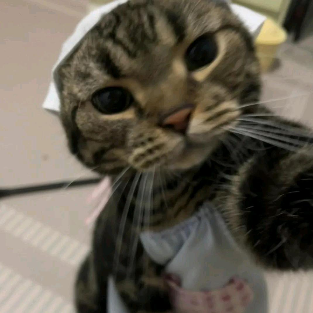 氧化锌