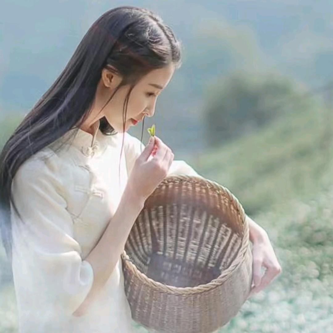 大连北岗桥茶叶批发城   一盒也是出厂价
