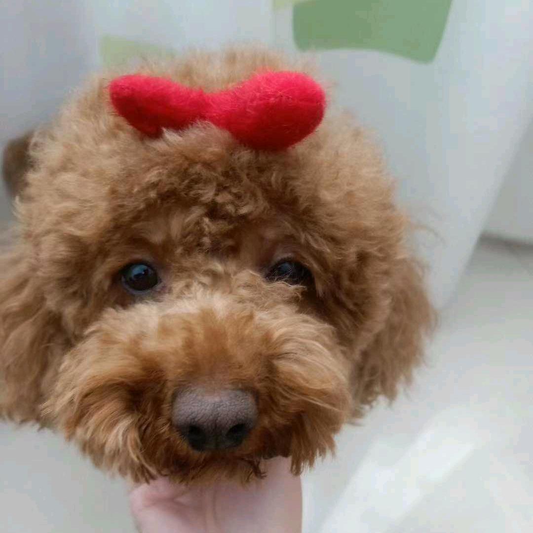 温柔霸气美少女。