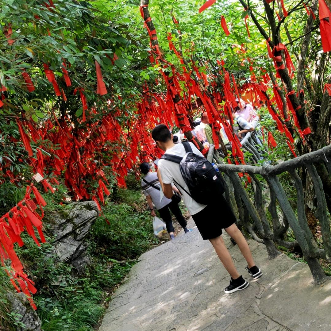 龙山众达罗波
