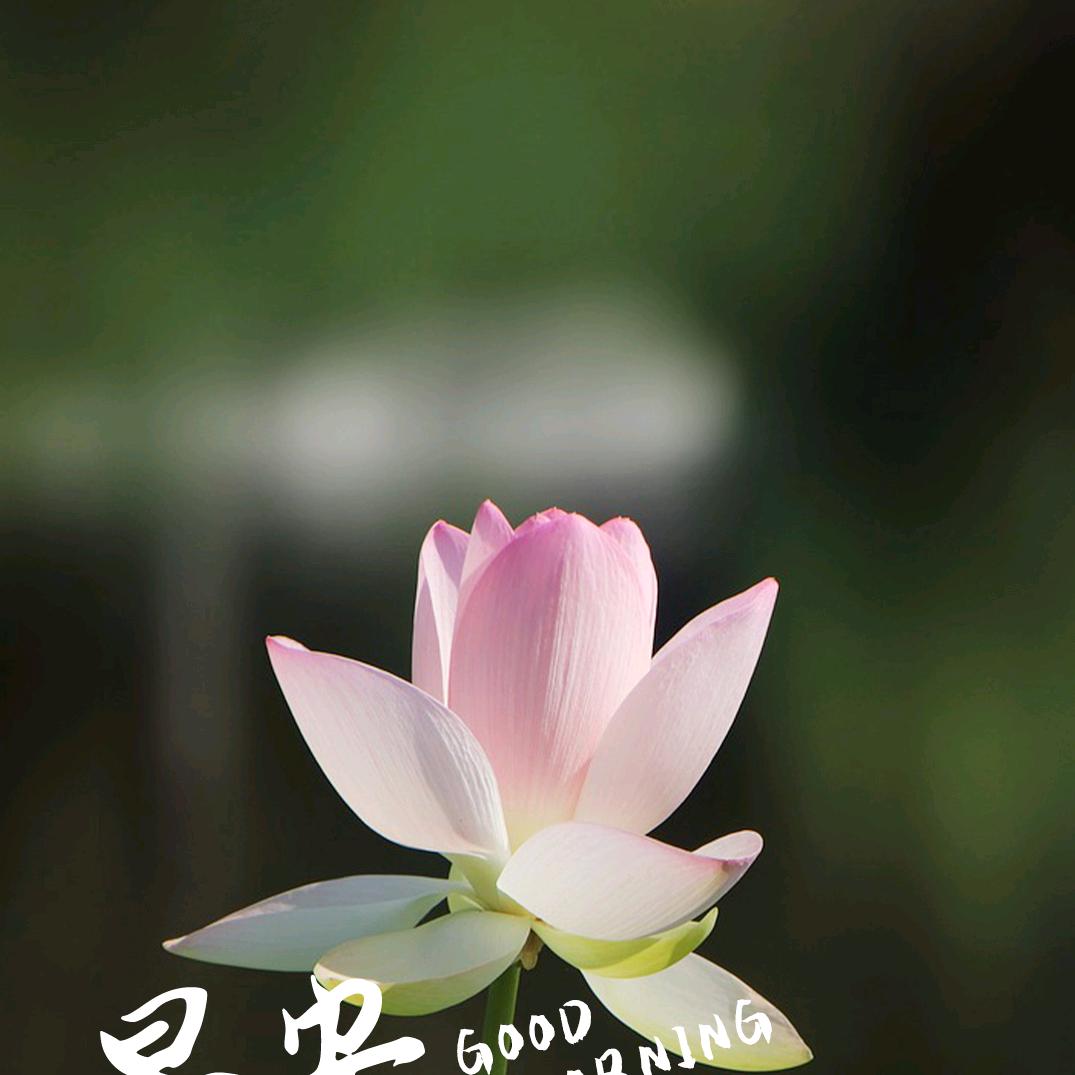 健康人生