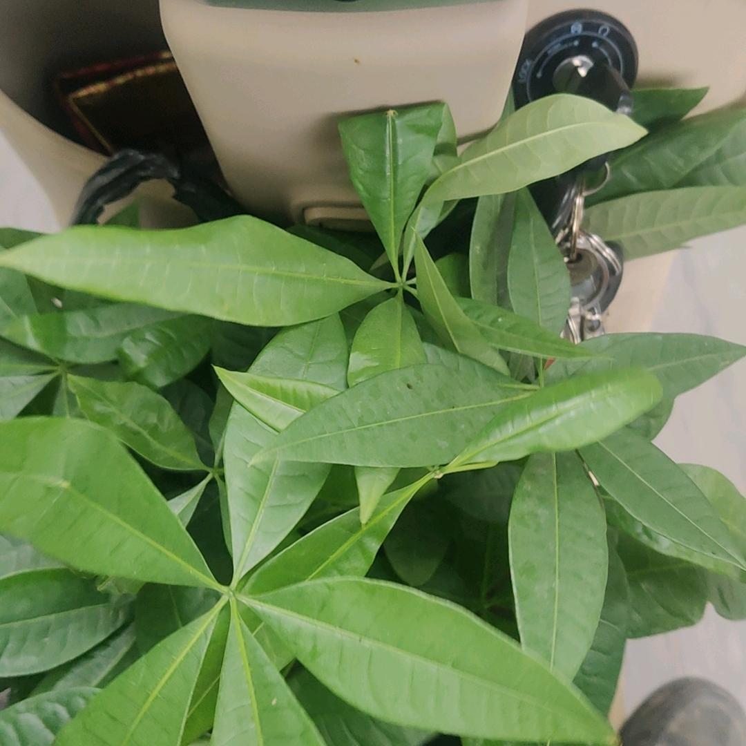用户
