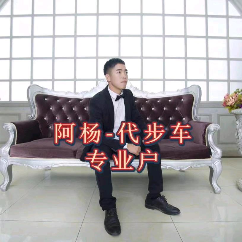 广州桦永二手汽车贸易有限公司