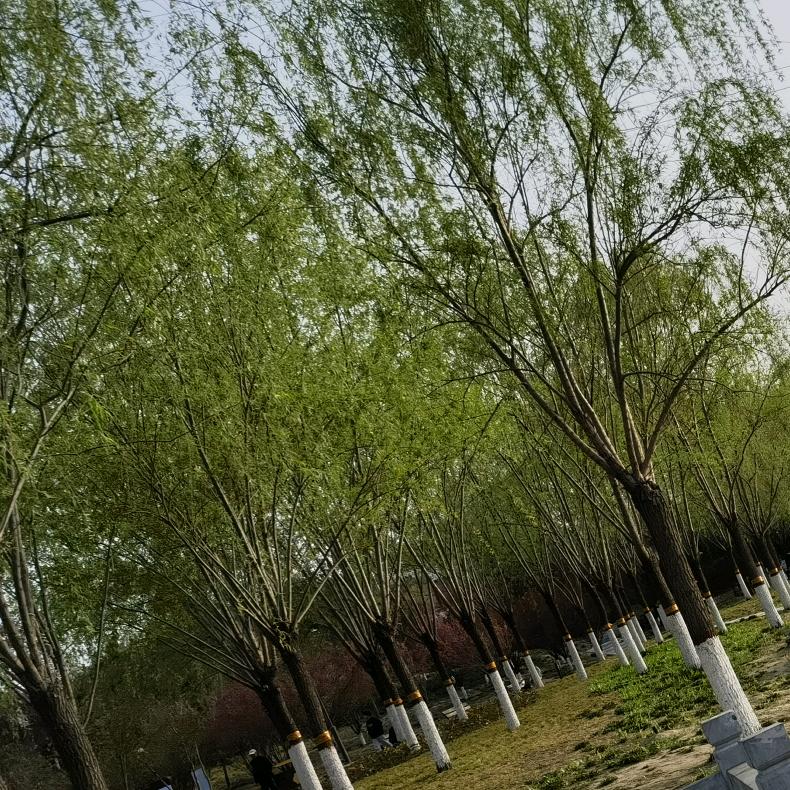 天下熙熙皆为利来