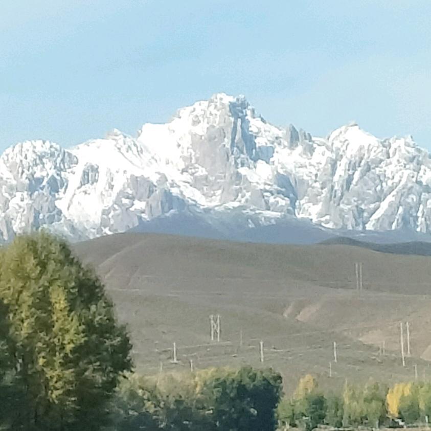 曾经再美也是伤