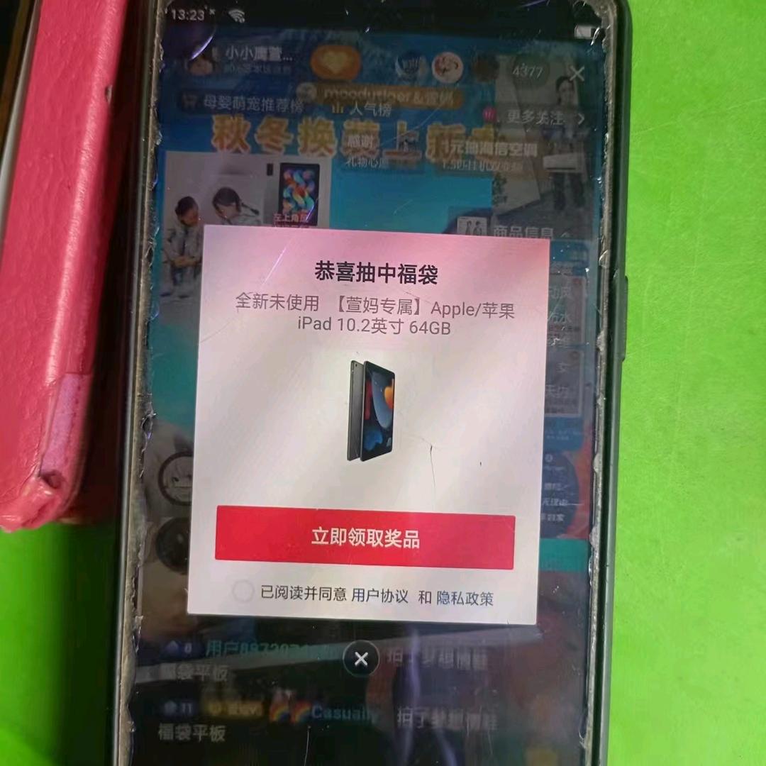 🐯心夏未凉🇨🇳