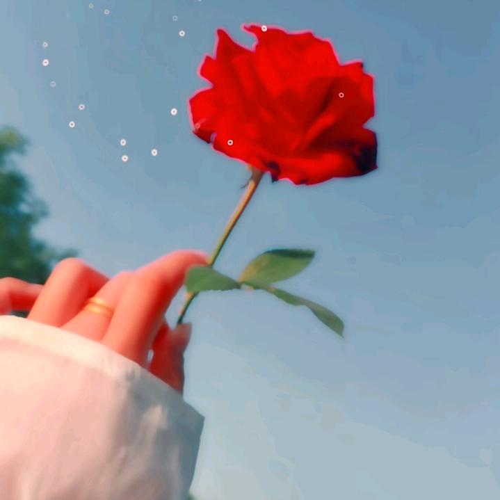 志美