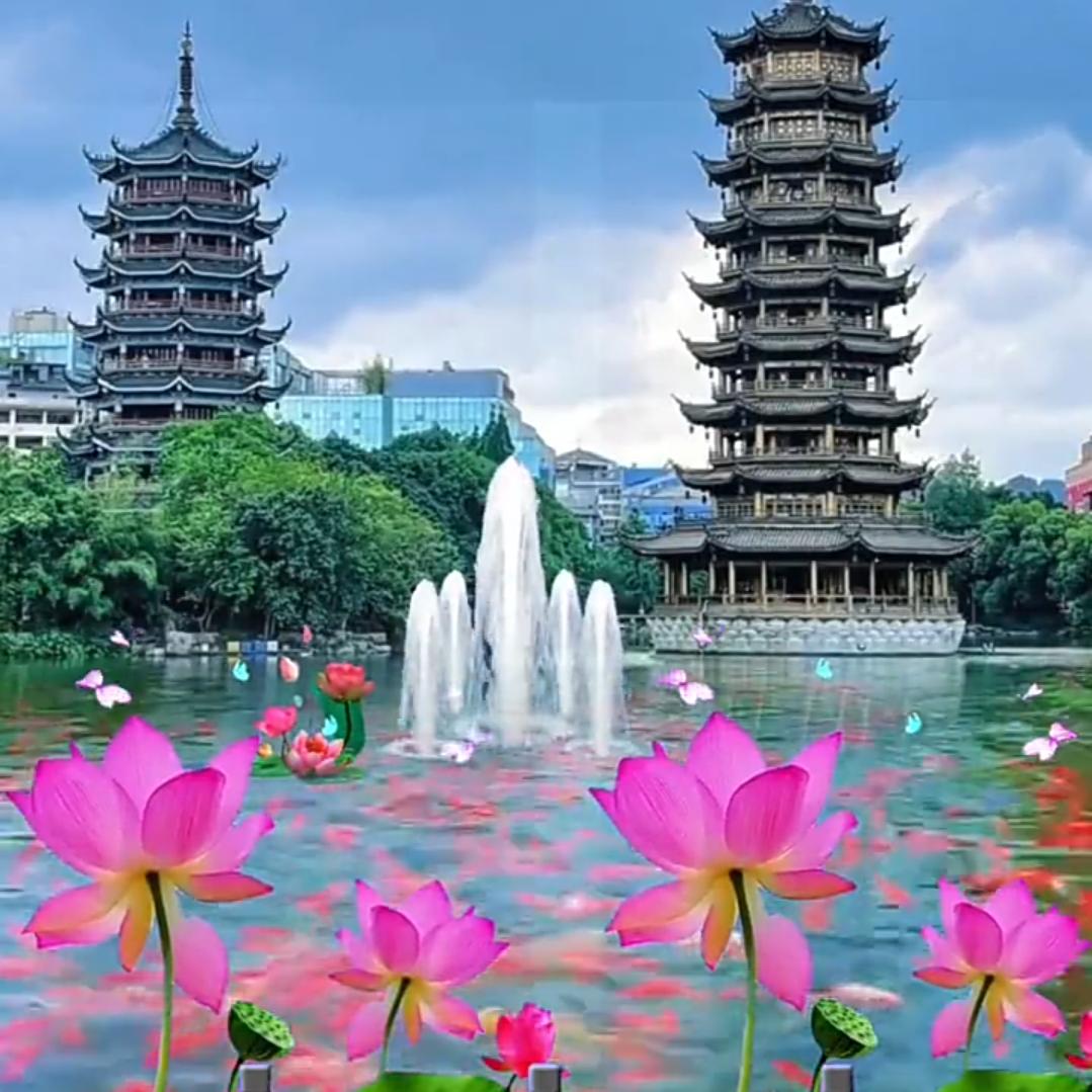 追心所欲