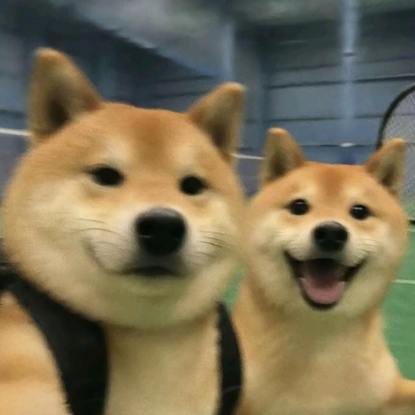 麦了否冷