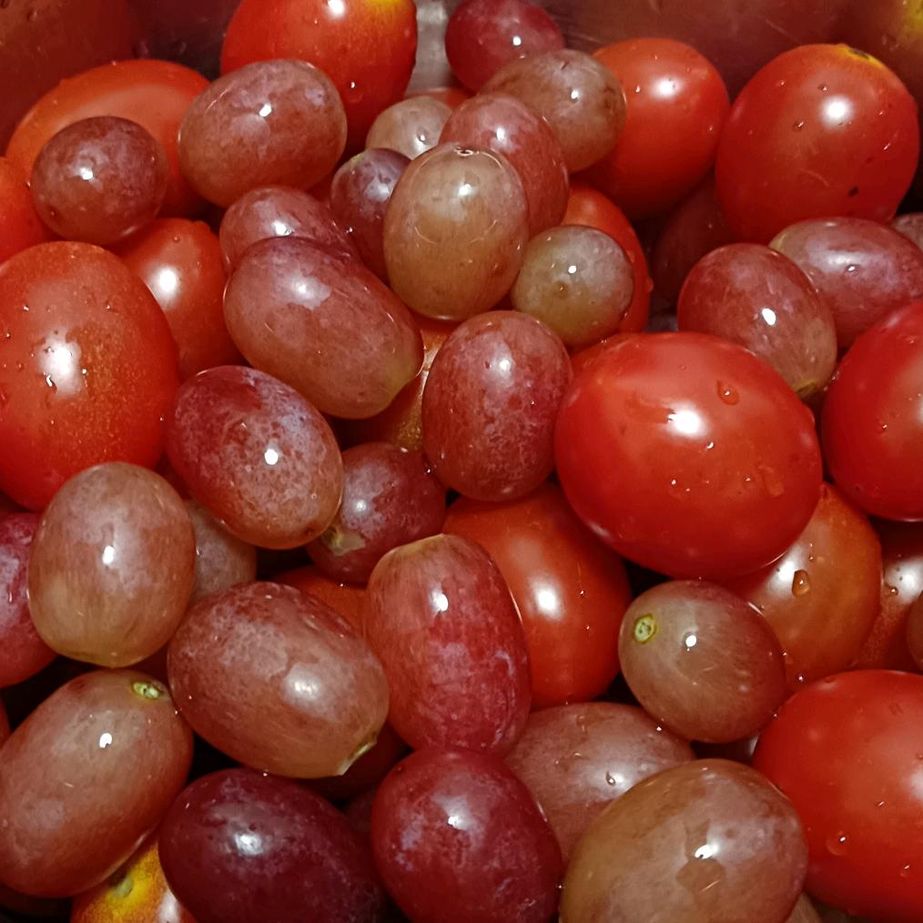 走自己的路 不争对与错（寒冰）