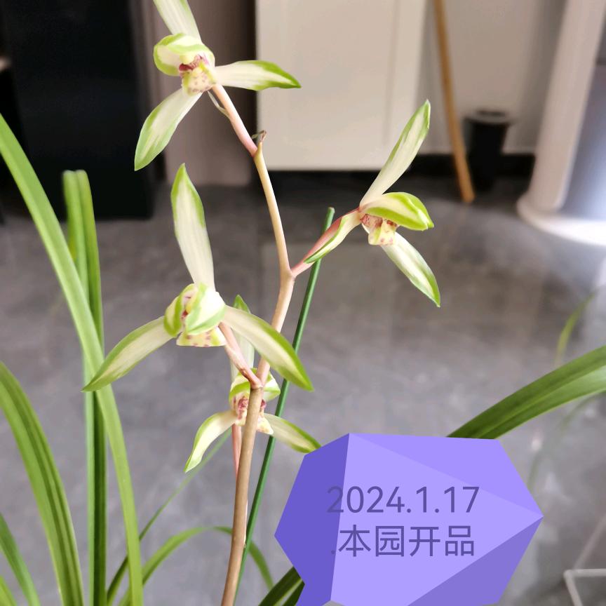 润发兰苑