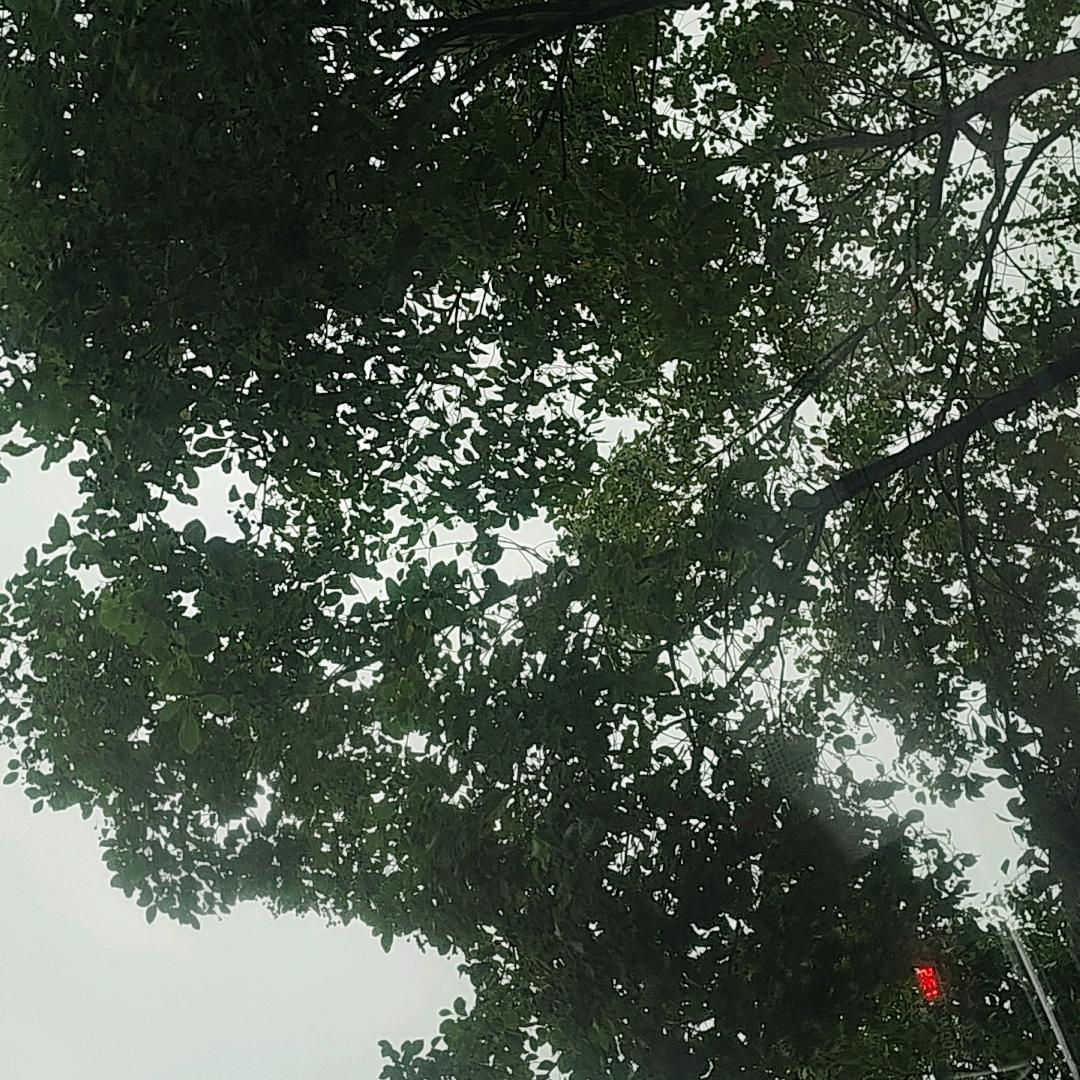 天地悠悠