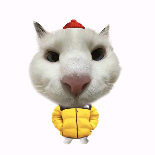 傲娇小迷辣