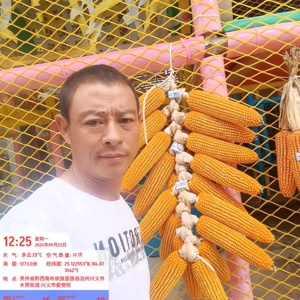 自在随缘，永恒不变