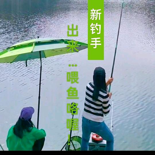 飞飞不会飞吖