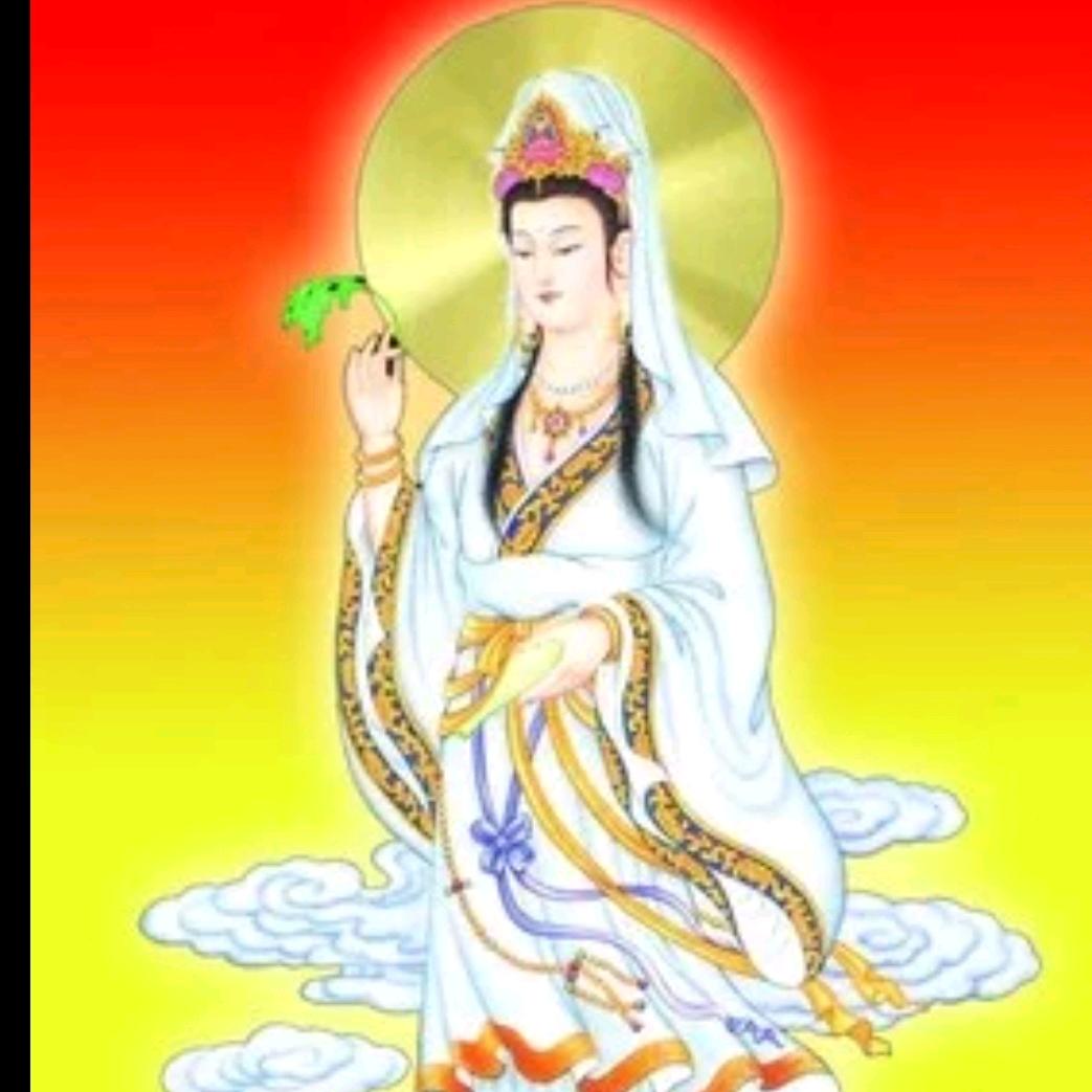 勿忘我