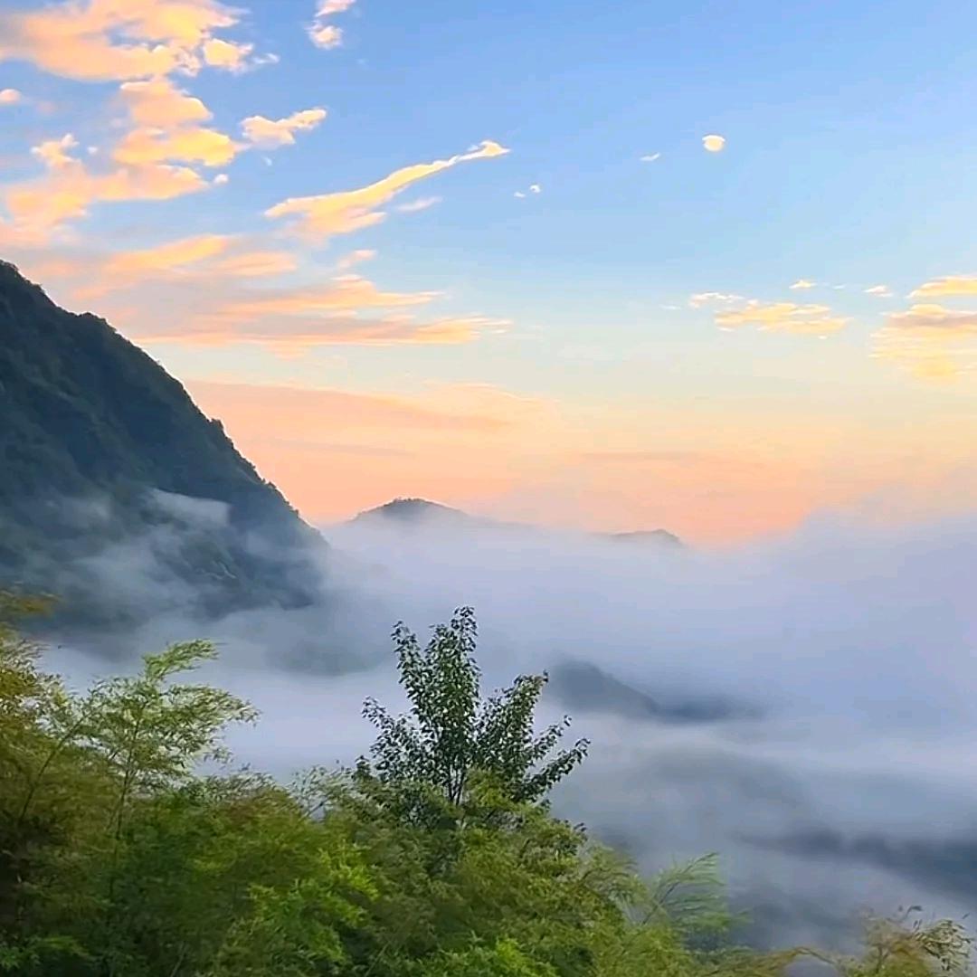 随心